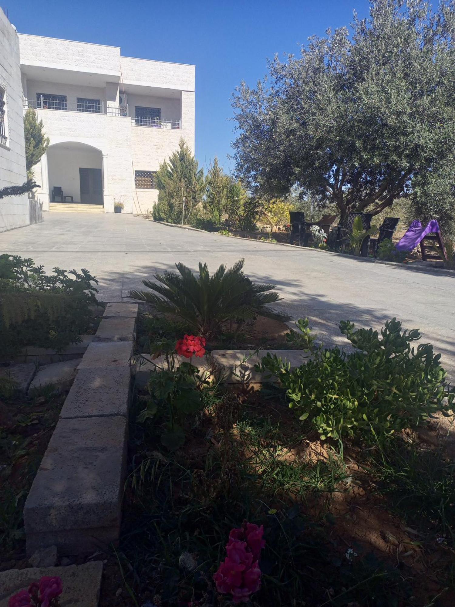 مفروش للايجار * Madaba