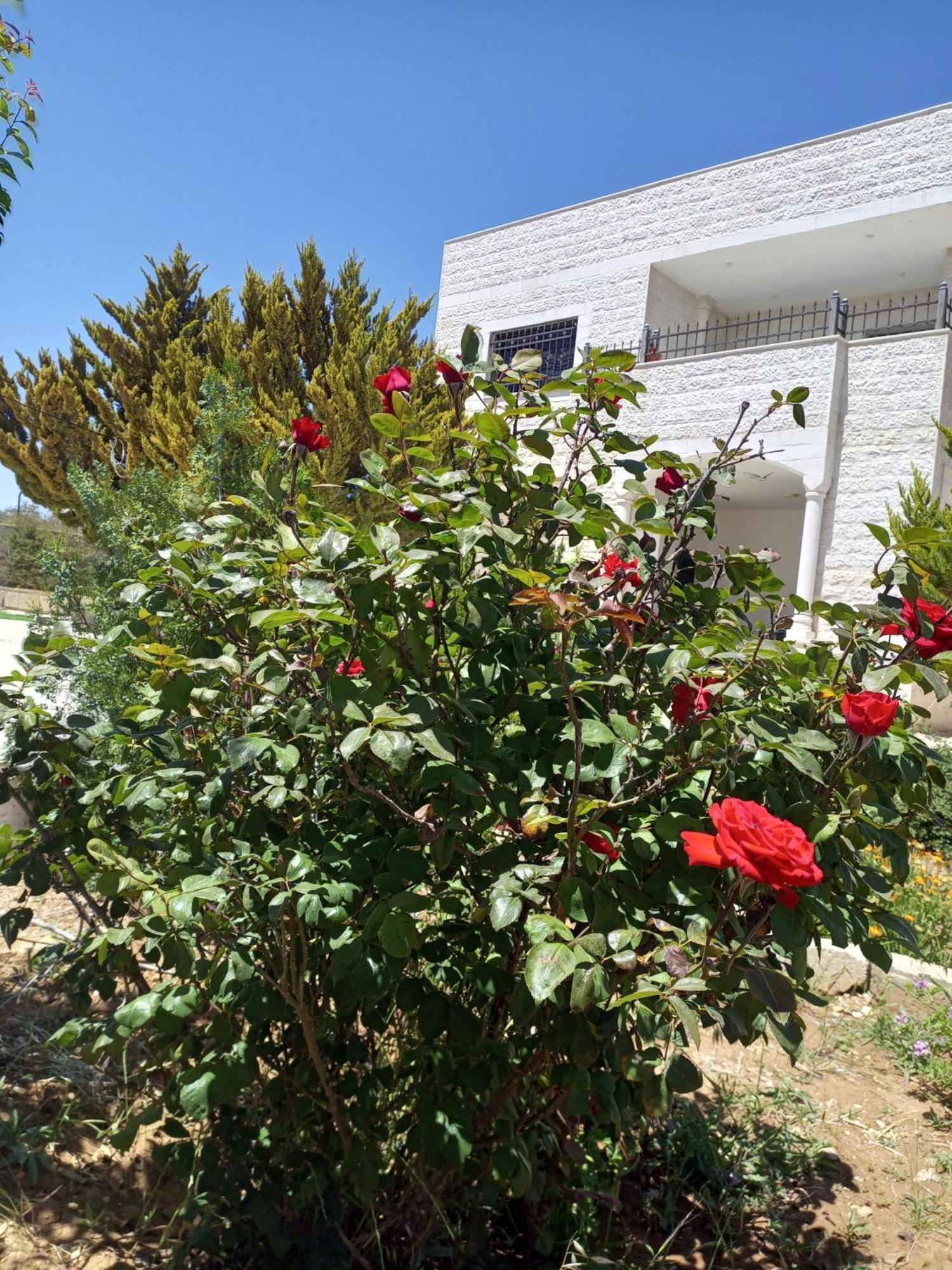Holiday home مفروش للايجار